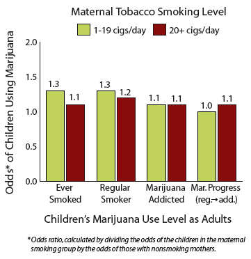 Maternal Tobacco Smoking During Pregnancy Did Not Affect Children's Odds of Marijuana Use as Adults