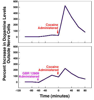 Graph on Cocaine Addiction Treatment