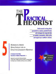 Practical Theorist Cover