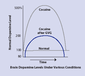 GVG Blocks Cocaine-Triggered Dopamine Increases in Animals