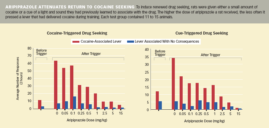 Ritalin Dosage Chart