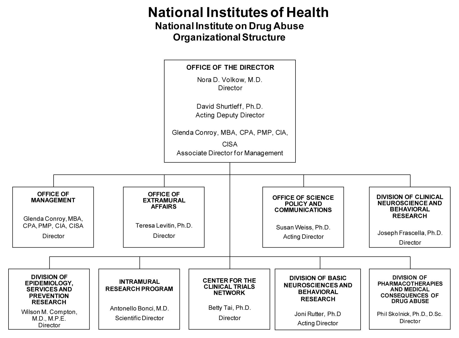 Clinical Research Org Chart