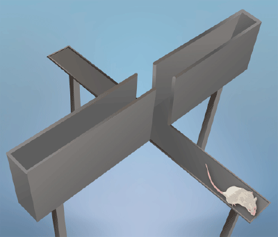 Illustration of a mouse standing on the edge of an elevated beam