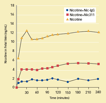 line graph showing nicotine levels in fetal vein - see caption