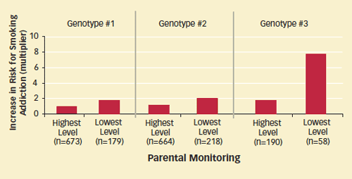 Graph showing three genotypes and their risk for smoking addiction, genotype 3 had a 6 fold multiplier for low parental monitoring compared to high monitoring, risk was not much different for the other two genotypes.