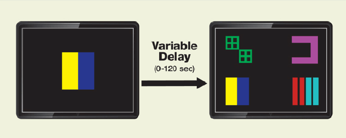 Figure 2 is a representation of two computer terminal displays that would be used to test the monkey’s memory and cognitive flexibility.  The left hand screen shows a simple setup of two rectangles, one yellow, and one blue.  The right hand screen shows a more complex setup with nine rectangles with different shapes and colors, one set of which are the yellow and blue rectangles of the left hand screen.