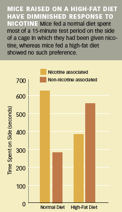 MICE RAISED ON A HIGH-FAT DIET HAVE DIMINISHED RESPONSE TO NICOTINE -  Graphic