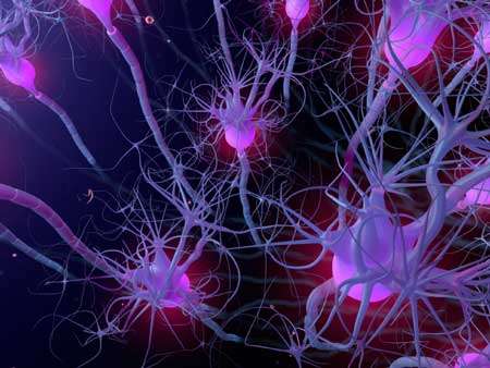 image of neurons