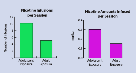 Rats Exposed to Nicotine in Adolescence Self-Administer More Nicotine Than Rats First Exposed as Adults