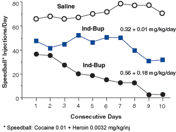 Indatraline-Buprenorphine Combination Reduces Self-Injection of Speedball by Monkeys - Graph