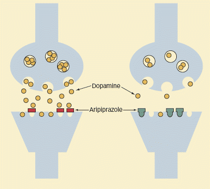 image of synapse, showing aripiprazole blocking dopamine uptake in high concentrations and stimulating dopamine release in low concentrations