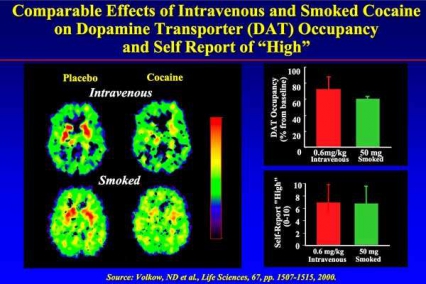 Comparable Effects of IV and Smoked Cocaine on Dopamine Transporter Occupancy and self report of High