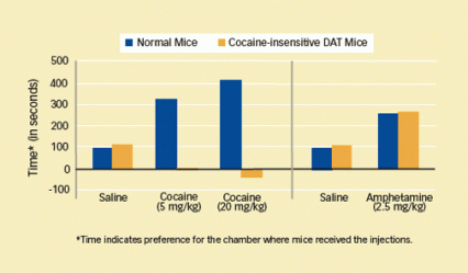 bar graph showing time preference in exposure chamber, normal mice spend much time in cocaine chamber, insensitive mice not at all. See caption