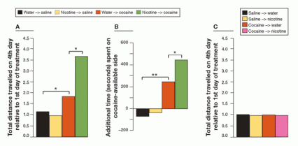 Figure showing how in mice, nicotine increased sensitization to cocaine’s locomotor effects as well as conditioned place preference. Cocaine does not, however, increase locomotor response to nicotine.