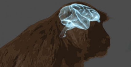 Illustration of a brain inside a monkey