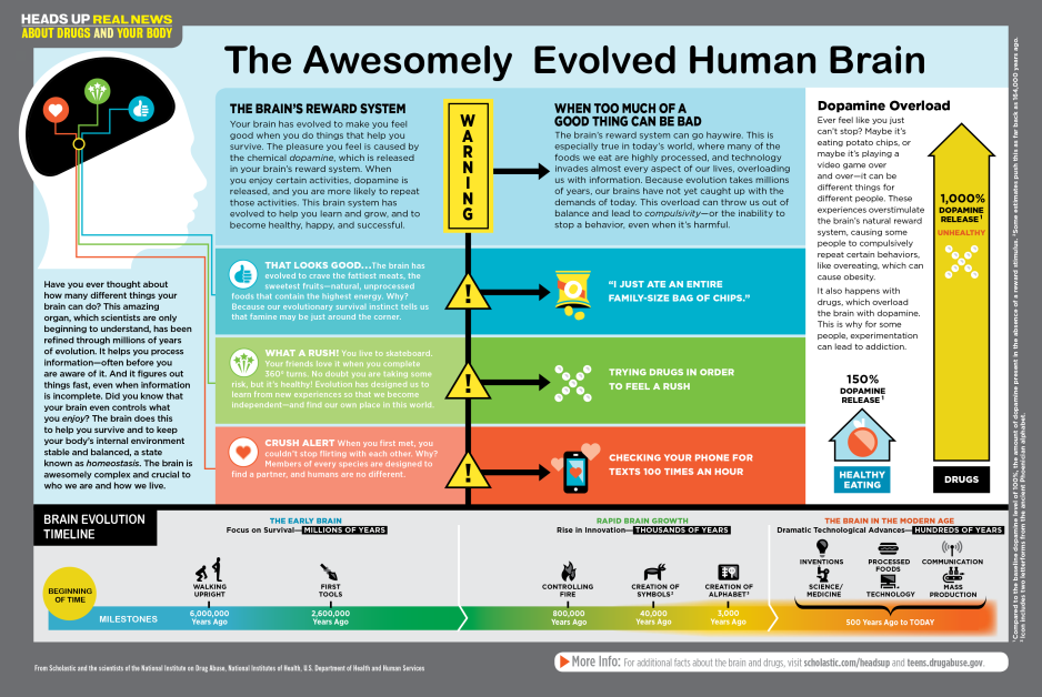 The Awesomely Evolved Human Brain