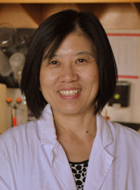 Jia Bei Wang, M.D., Ph.D.