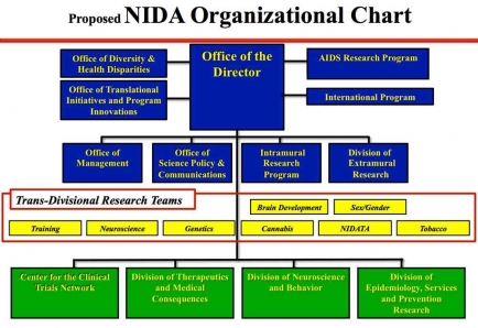 NIDA Org Chart