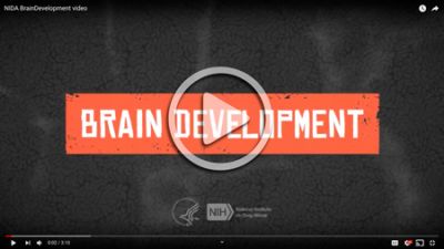 Brain development video screengrab