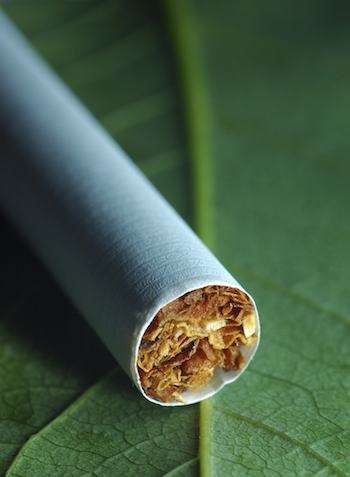 image of cigarette on top of tobacco leaf